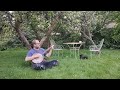 Wandering boy clawhammer banjo in our nanoorchard in duet with a blackbird with a dachshund