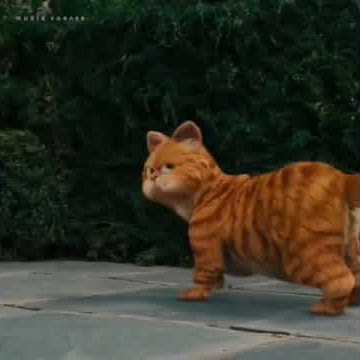story wa (GARFIELD)