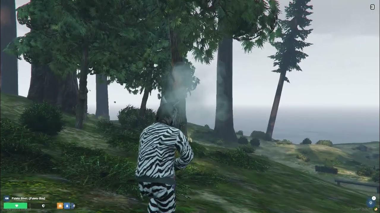 Pro-hunting script [FIVEM] - YouTube