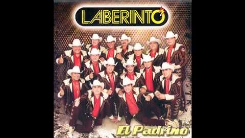 LABERINTO - EL FELINO
