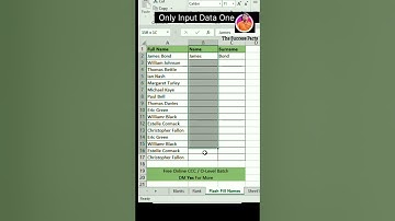 HOW TO USE FLASH FILL IN EXCEL #exceltech #exceltutorial #exceltips #exceltricks #ytshorts