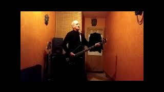 ADAM AND THE ANTS Kings of the Wild Frontier Bass Cover