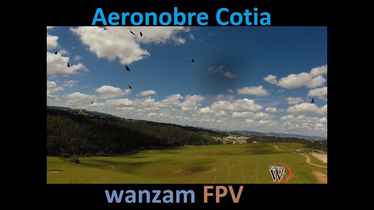 dronesense DRONE sofre ATAQUE DE ABELHAS Aeronobre WANZAM FPV