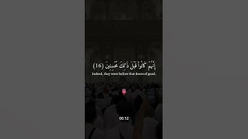 سورة الذاريات من آية 15 إلى 18 #quran #love