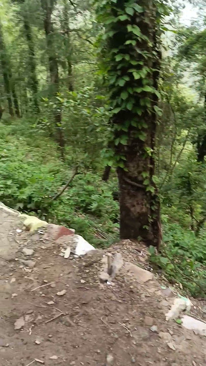do Dil mil rahe hai #love #bollywood #song #hindisong #music #travel #bolleywoodsong