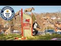 Feather & Geronimo: Highest jump by a dog & skipping dog - Guinness World Records