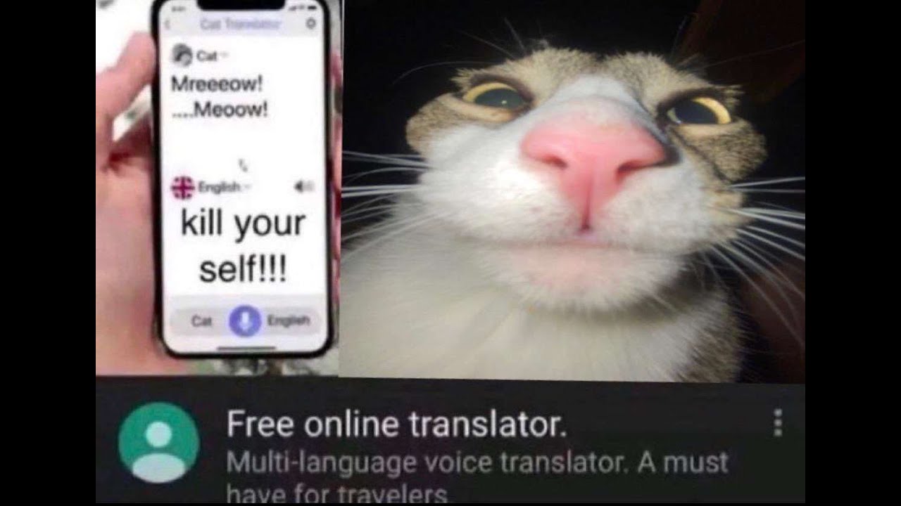 butter dog type beat YouTube