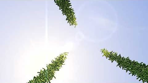 Particle Emitter Animation Experiment Cinema 4D