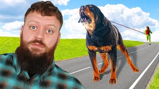 How I Fix EXTREME Dog Leash Reactivity In 1 Day by Will Atherton Canine Training 92,362 views 6 months ago 8 minutes, 20 seconds