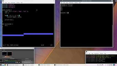 C Programming: Examples of Dynamic Memory Allocation