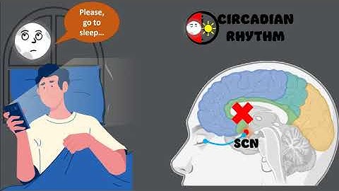 How Blue Light Affects Our Ability to Sleep