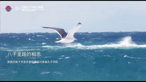 Reminiscence Will Go On