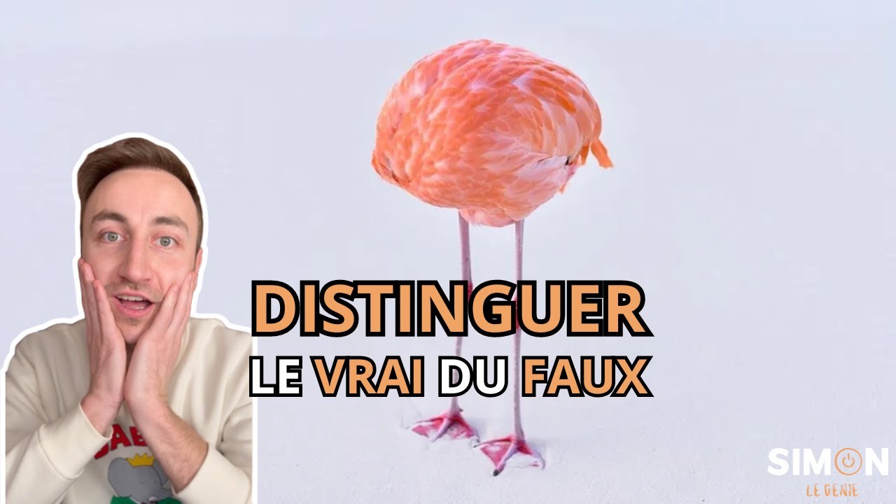 DISTINGUER LE VRAI DU FAUX - YouTube