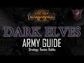 DARK ELVES ARMY GUIDE! - Total War: Warhammer 2