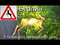 Галопом  по Европам 5.08.2017 день 8 часть 1