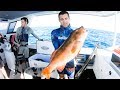 Insane Afternoon And Night Camping On Our Boat Spearfishing And Fishing - Ep 60 Part 2