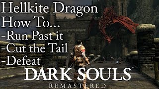 Dark Souls:Remastered | How To Run Past, Cut the Tail & Defeat Hellkite Dragon screenshot 3