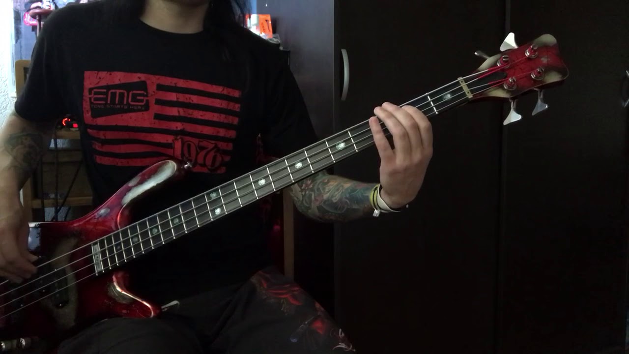 Света басс. Odin Bass. Bass Word.