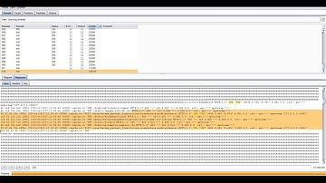 $100 Apache access.log Leakage via Long Request - Rapida | Bug Bounty POC