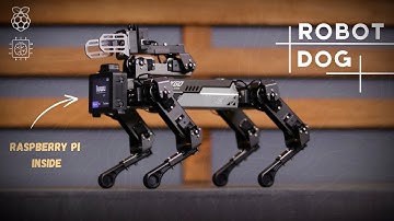 Meet My New Pet Dog Robot | CM4 XGO Robot