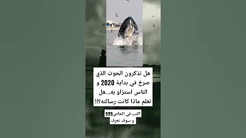 هل تذكرون الحوت الذي صرخ في بداية 2020 