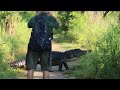 Godzilla always has the right of way! Monster Alligator crossed the path at Circle B Bar Reserve FL