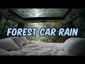 Sleeping in a Cozy Car During Rain — Forest Ambience for Deep Sleep (4 Hours)
