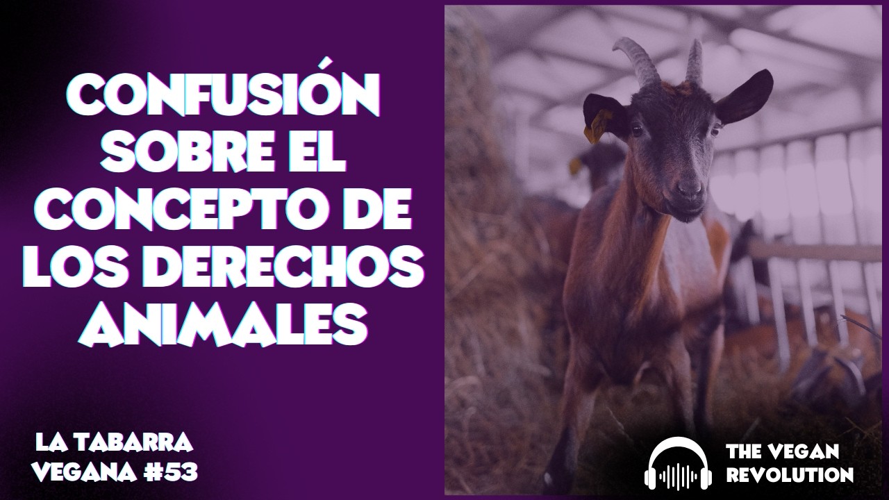 Confusión sobre el concepto de Los Derechos Animales