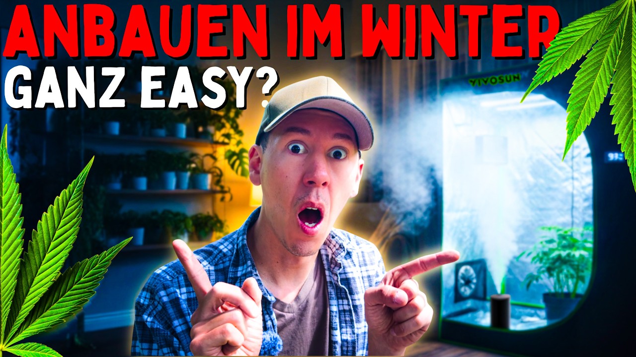 BILLIG & GEIL 🤫 Meine Growbox Empfehlung für Anfänger und Fortgeschrittene!