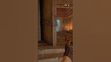 Sneaky-beaky like #cs2 #csgo #valve