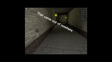 Me being stupid in identity fraud￼ (part 2) #roblox