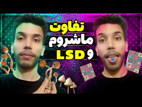 تفاوت تریپ مجیک ماشروم و ال اس دی در دوز های مختلف