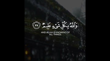 أجمل حالات واتس اب قرآن كريم بدون حقوق بصوت شريف مصطفى | صوت خاشع يريح القلب❤😴