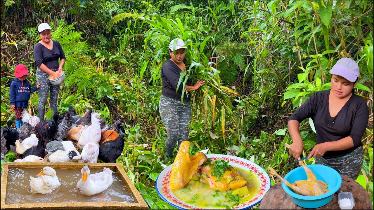 Esto es todo lo que hacemos en todo el dia en nuestra finca - NATHALIA