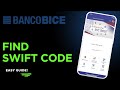 How To Find The SWIFT Code Of BICE Bank, Chile !