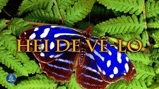 Hinário Adventista 438 - Hei De Vê-Lo