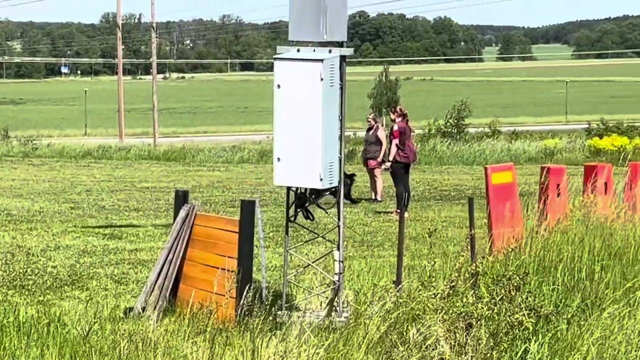 Lydnadstävling klass 1 2025-06-14