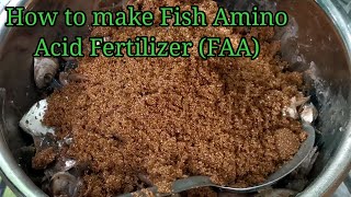 HOW TO MAKE FISH AMINO ACID(FAA)Fish Fertilizer/Organic /How to Ferment Fish Amino Acid Fertilizer