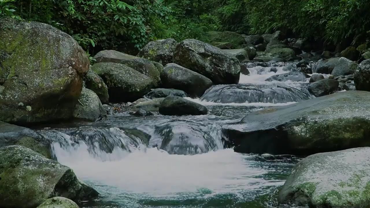 Deep Relaxation | Forest River, Birdsong & Peaceful Piano Music