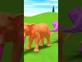 paint &amp; animals cow cartoon,bull,buffalo,yak,ox, indian bison fountain crossing animal transform