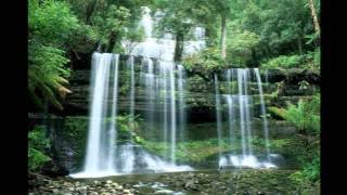 Ala Bragari-O femeie cinstita