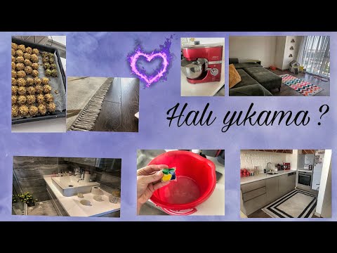 HALI YIKADIM MİNİK |KEDİM KISIRLAŞTI 🤚🏻BU KURABİYE MÜTHİŞ 💞TEMİZLİK DÜZEN