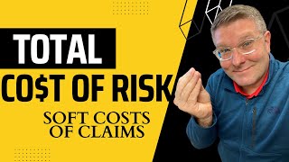 Total Cost Of Risk - Soft Costs of Claims screenshot 5