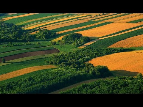 Video: Skriveni Narcis 