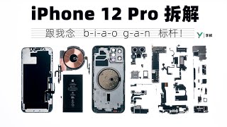 【享拆】iPhone 12 Pro拆解： 来，跟我念：b-i-a-o g-a-n，标杆！-XYZONE