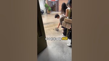 Bé chuột tội nghiệp nhất trên đời.#shorts