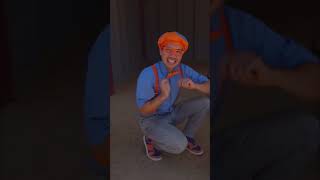 #blippi - Pigs 🐖 incredible noses! #blippi_videos #blippicartoon #kidsfun #trending #thekidsshows