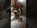 End of video