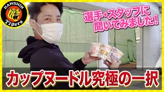 【カップヌードル】タイガース内で究極の一択！！