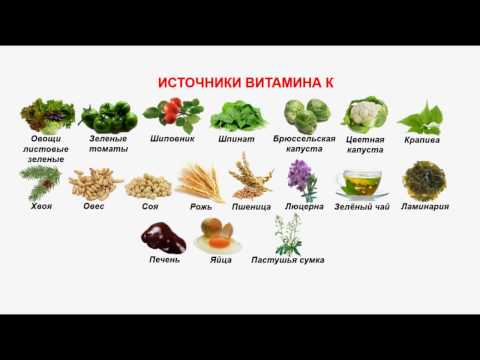 Витамин К источники